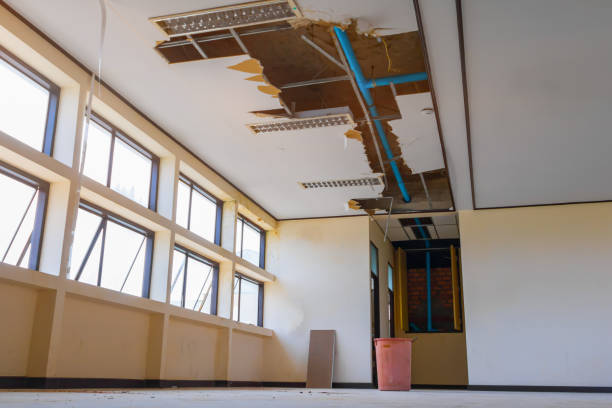 Best 24-hour water damage restoration  in Boca Raton, FL