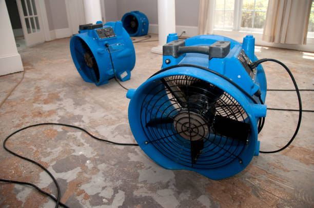 Best Ceiling water damage repair  in Boca Raton, FL