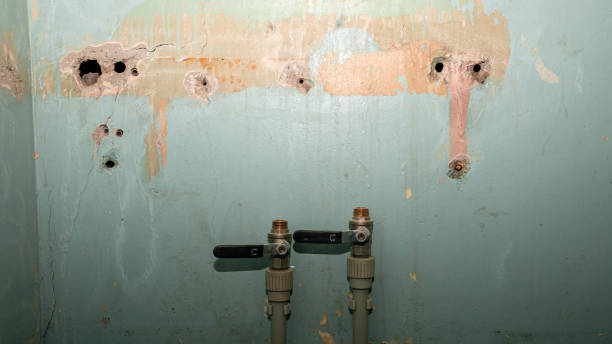 Best Water damage cleanup near me  in Boca Raton, FL