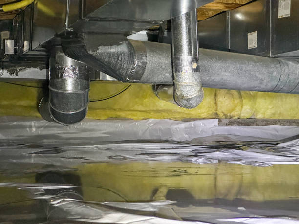 Best Carpet water damage restoration  in Boca Raton, FL
