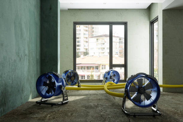 Best Flood restoration services  in Boca Raton, FL